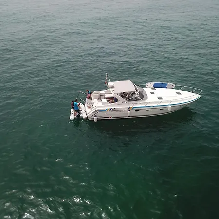 Bluechip * ポルティマン