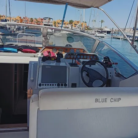 Bluechip * ポルティマン